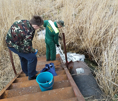 В деятельности ПАО «Курганмашзавод» выявлены нарушения природоохранного законодательства